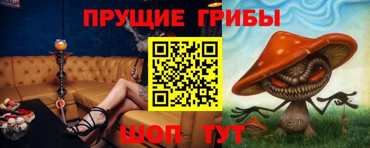 Галлюциногенные грибы MAGIC MUSHROOMS  Вход с VPN  Тихорецк 